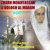 Download track Charh Mokhtassar Li Bologh Al Maram, Pt. 7