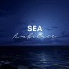 Download track Your Sea Beauty