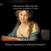 Download track Sonate Pour Le Clavecin Ou Pianoforte Avec L'accompagnement D'un Violon In E-Flat Major, KV 380: II. Andante Con Moto