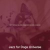 Download track Spacious Music For Sweet Dogs