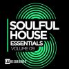 Download track Surrender (Soulful Deep Mix)