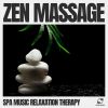 Download track Soothing Spa Music