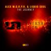 Download track The Journey Original Mix