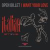 Download track I Want Your Love (Edit Van Mix)