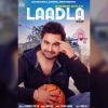 Download track Laadla