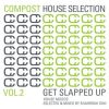 Download track Compost House Selection Vol. 2 Continous Mix