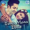 Download track Tora Mora Love