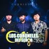 Download track Las Envidias