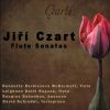 Download track Sonata In G Major, JCZ. N. 13 / D: II. Allegro