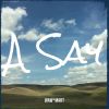 Download track A Say (Dirty)