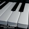 Download track Celestial Serenity