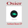 Download track Finish Line (Osier Remix)