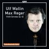 Download track Violin Sonata In G Minor, Op. 42 No. 4: II. Allegretto Con Grazia