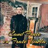 Download track Esti Frumoasa Foc, Sa Mor