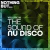 Download track Disco Dancer (Nudisco Mix)