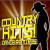 Download track Country Girl Shake It For Me Dance Remixed