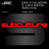 Download track Perfection (Shogun Remix)