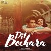 Download track Dil Bechara