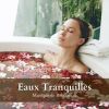 Download track Musique De Spa Pour Méditation