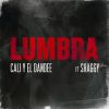 Download track Lumbra