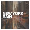 Download track Rainy Skies Greet Paris