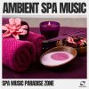 Download track Spa Music