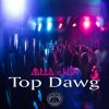 Download track Top Dawg (Kostek Remix)