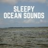 Download track Beauty Of The Ocean's Tide