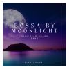 Download track Moonlit Rendezvous