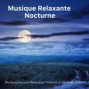 Download track Ambiance Relaxante Pour Dormir