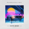 Download track Shining Light (Alex Dee Gladenko Remix)