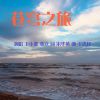 Download track 苍穹之旅 (伴奏版)