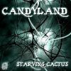 Download track Starving Cactus (Original Mix)