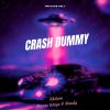 Download track Crash Dummy!