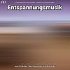 Download track Entspannungsmusik Teil 28