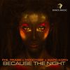 Download track Because The Night (Extended Mix)