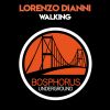 Download track Walking (Original Mix)