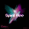 Download track Spirit Free Cafe 432dub