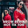 Download track Cơn Sầu Dĩ Vãng (MEOW Remix)