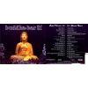 Download track BUDDHA BAR IX - BARONS COURT: CD2
