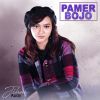 Download track Pamer Bojo