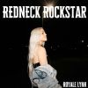 Download track Redneck Rockstar