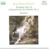 Download track 02 Preludes Op. 23 - No. 2 In B Flat Major - Maestoso