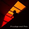 Download track Privilege And Pain