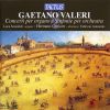 Download track 03. Concerto Per Organo E Orchestra In Sol Magg. - I. Allegro