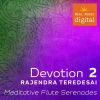 Download track Serenade By Dal Lake, Pt. 2