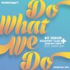 Download track Do What We Do (House Of Labs Progressive Dub Mix)