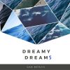 Download track Dreamy Dream