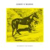 Download track Swimming The Horses