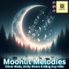 Download track Moonlit Dreams